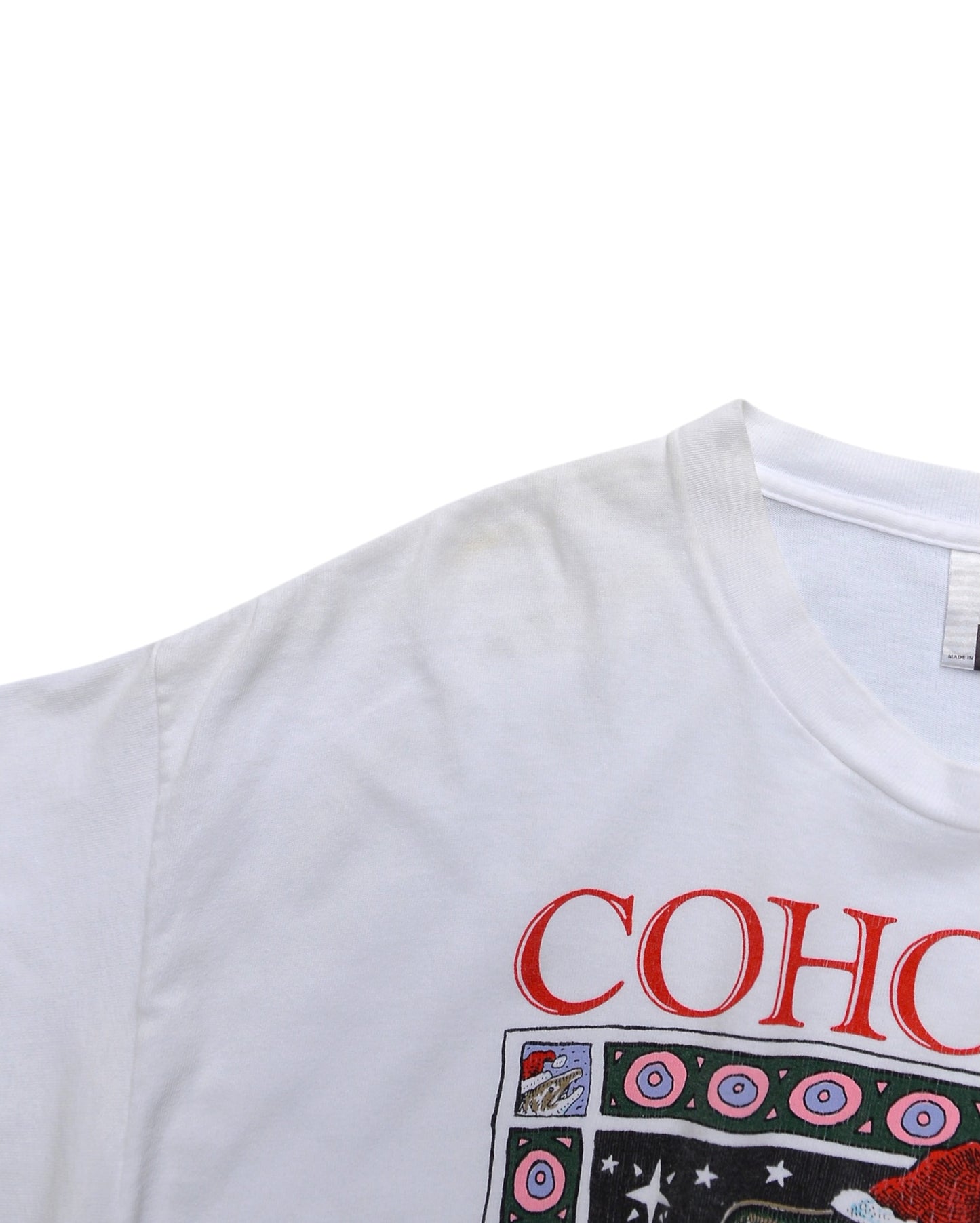 Ray Troll / "COHO HO" T-Shirt