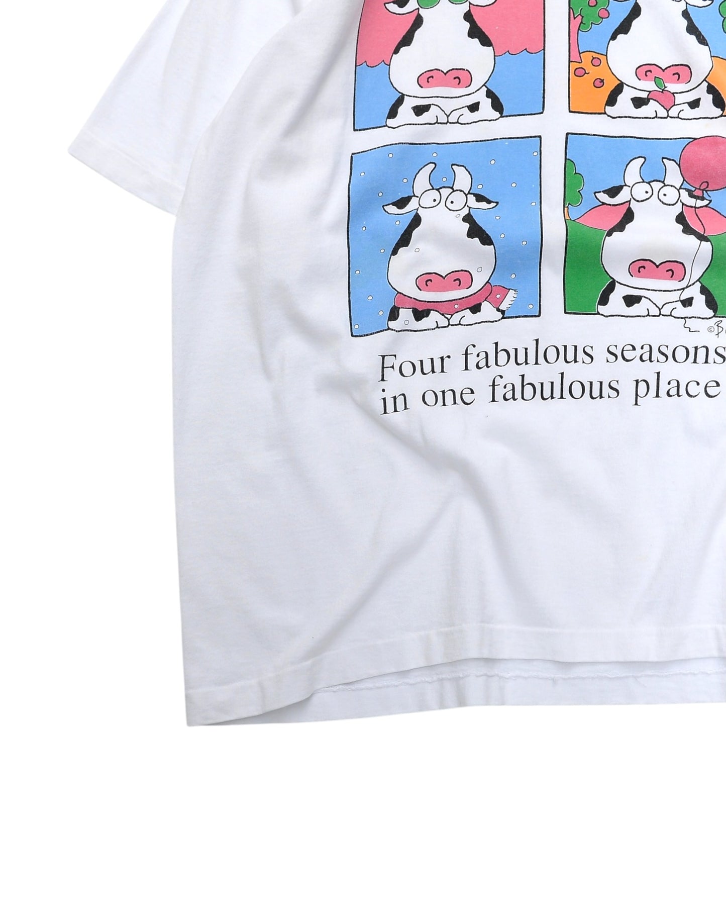 Sandra Boynton / "RABUN COUNTY" T-Shirt