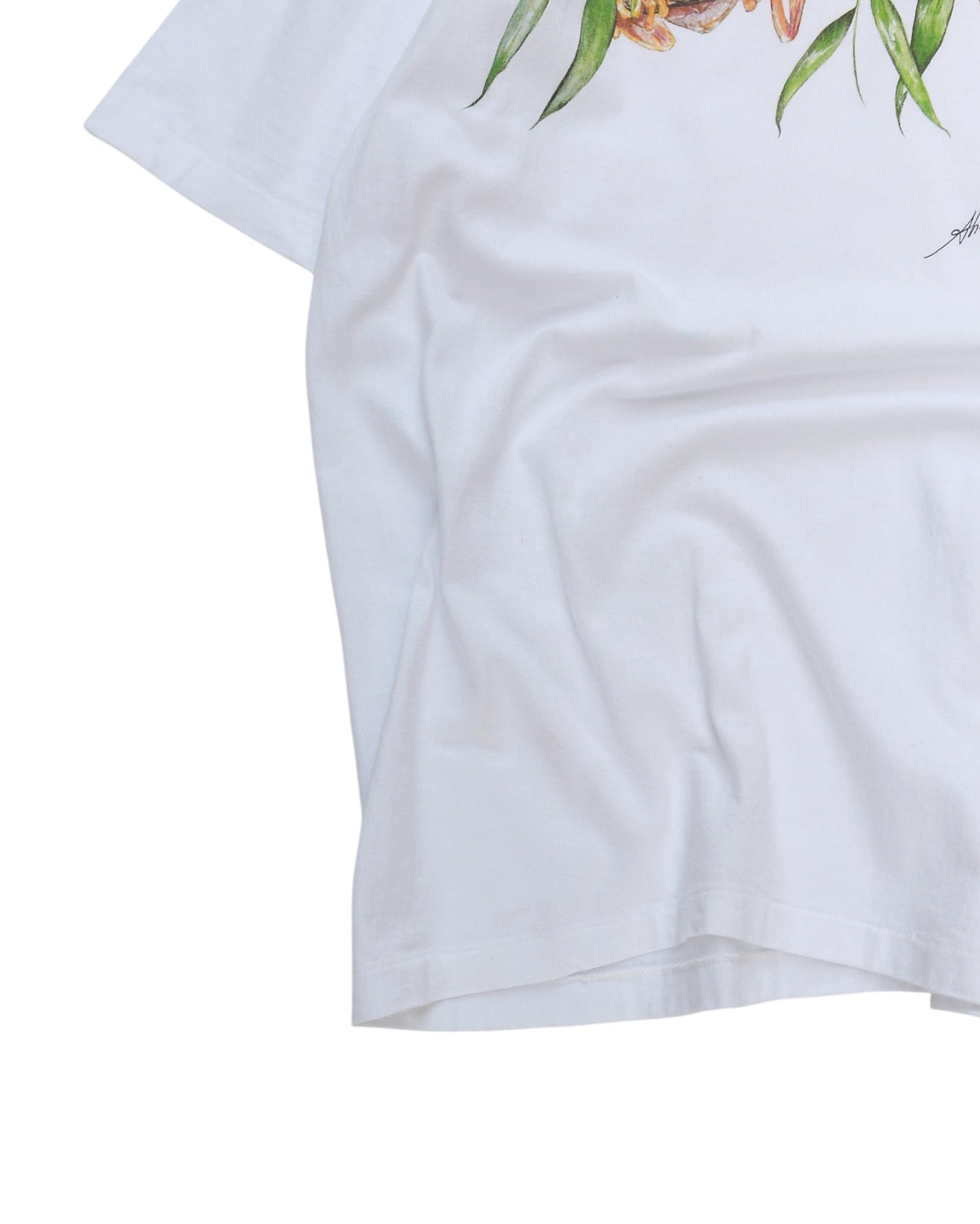 Frog Print T-Shirt